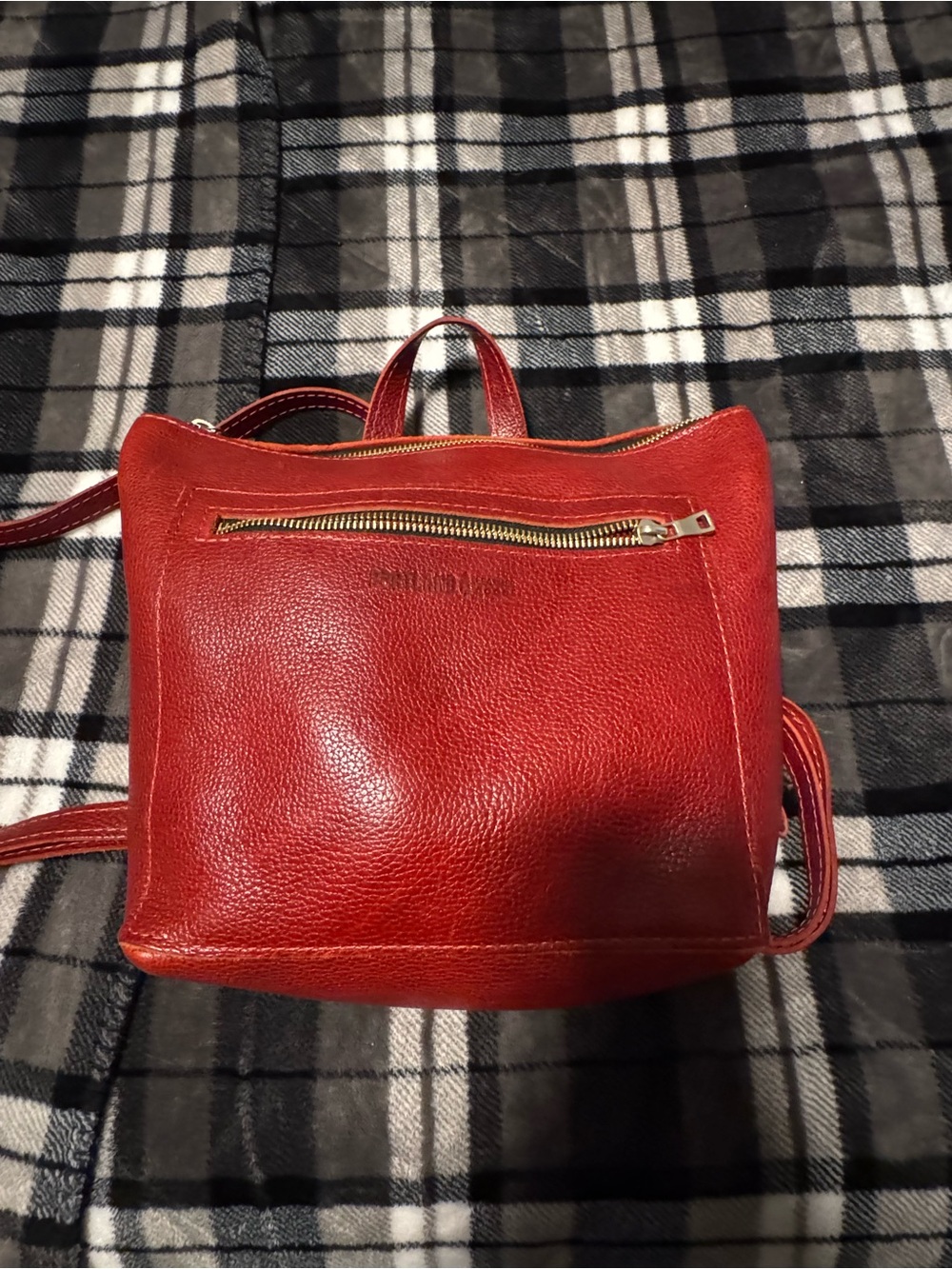 Portland Leather small tote backpack in Chili Red